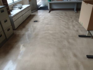 ワックス　剥離前