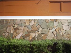 コーティング後（濡れ色）